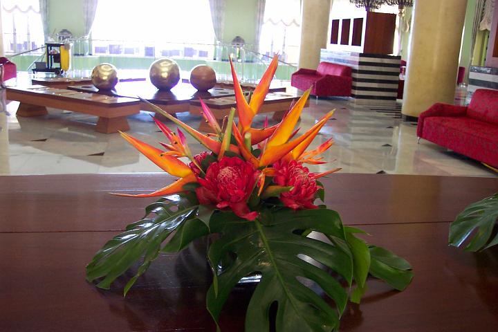 jamaica 044.jpg